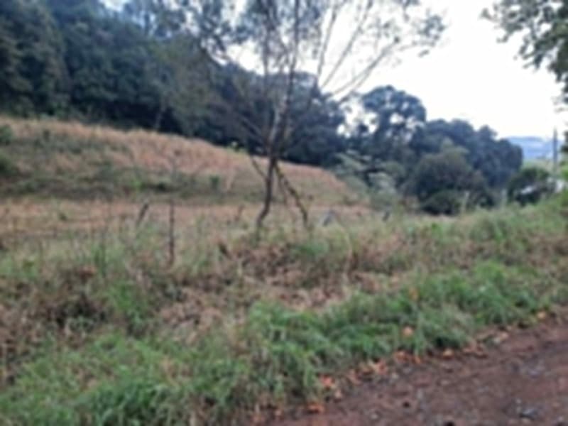 Foto 6 de 20: Terreno em leilão em Erechim - RS — LOTE 002 Imóvel