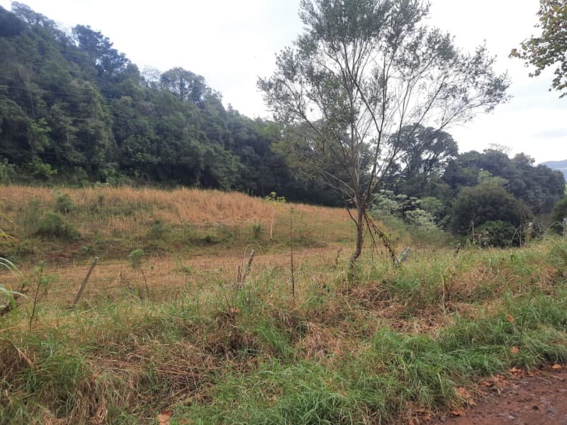 Foto 7 de 20: Terreno em leilão em Erechim - RS — LOTE 002 Imóvel