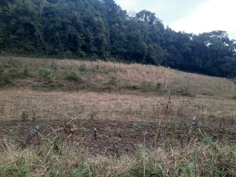 Foto 8 de 20: Terreno em leilão em Erechim - RS — LOTE 002 Imóvel