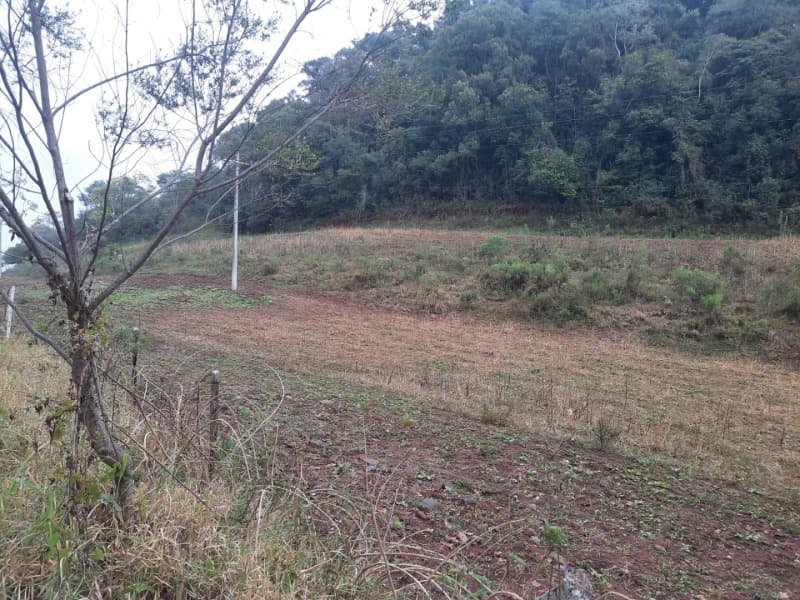 Foto 9 de 20: Terreno em leilão em Erechim - RS — LOTE 002 Imóvel