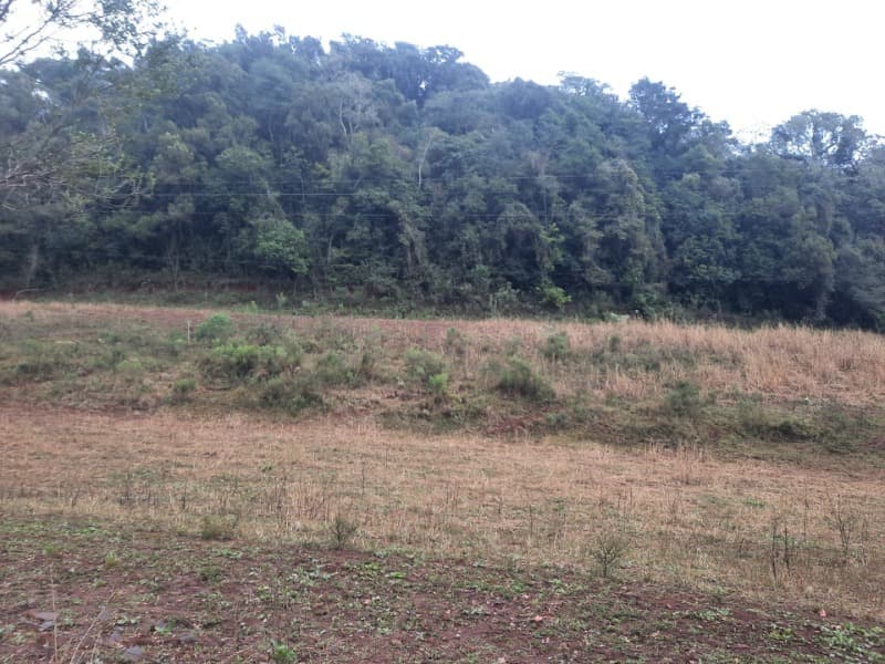 Foto 10 de 20: Terreno em leilão em Erechim - RS — LOTE 002 Imóvel