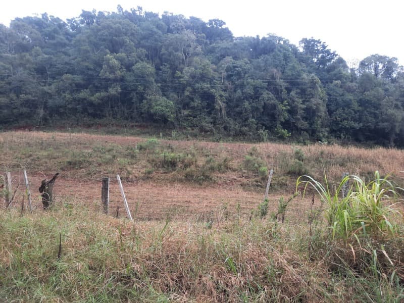 Foto 11 de 20: Terreno em leilão em Erechim - RS — LOTE 002 Imóvel