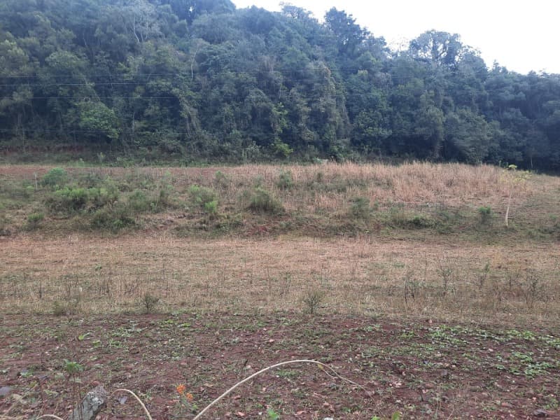 Foto 12 de 20: Terreno em leilão em Erechim - RS — LOTE 002 Imóvel