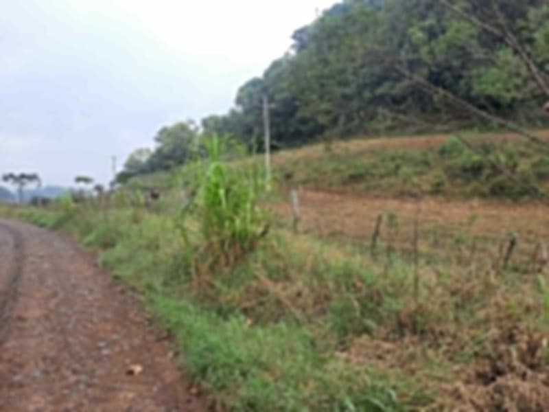 Foto 13 de 20: Terreno em leilão em Erechim - RS — LOTE 002 Imóvel
