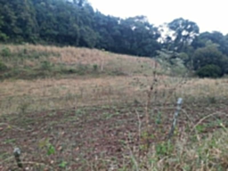 Foto 14 de 20: Terreno em leilão em Erechim - RS — LOTE 002 Imóvel