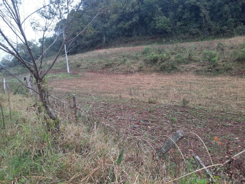 Foto 15 de 20: Terreno em leilão em Erechim - RS — LOTE 002 Imóvel