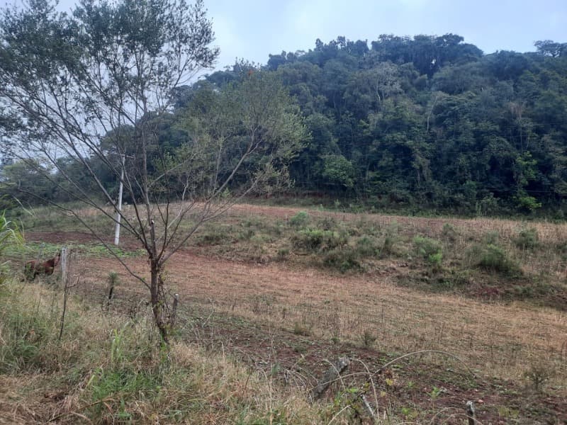 Foto 16 de 20: Terreno em leilão em Erechim - RS — LOTE 002 Imóvel