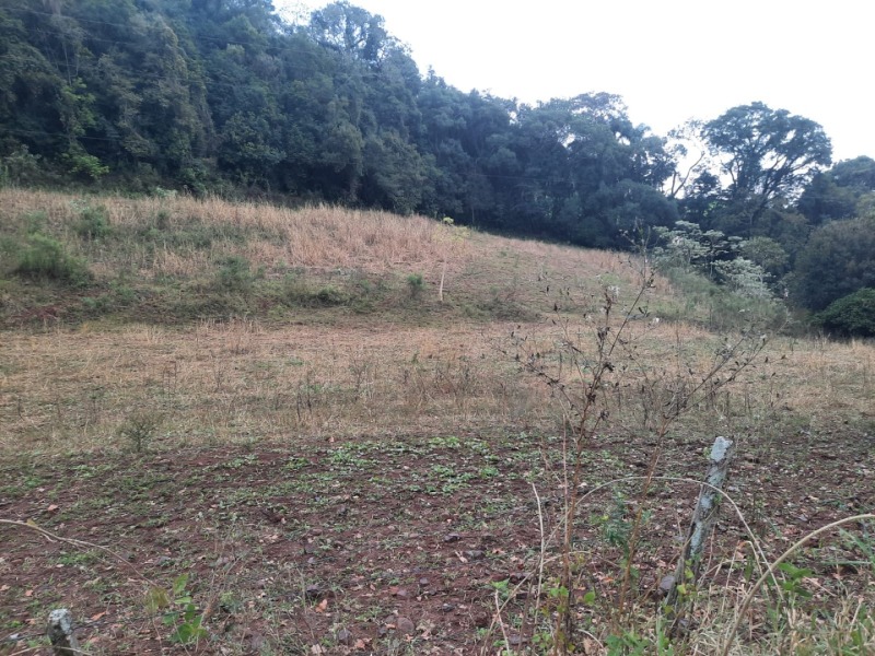 Foto 17 de 20: Terreno em leilão em Erechim - RS — LOTE 002 Imóvel