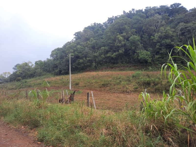 Foto 18 de 20: Terreno em leilão em Erechim - RS — LOTE 002 Imóvel