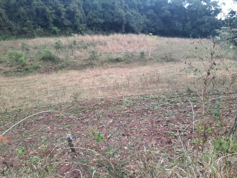 Foto 19 de 20: Terreno em leilão em Erechim - RS — LOTE 002 Imóvel