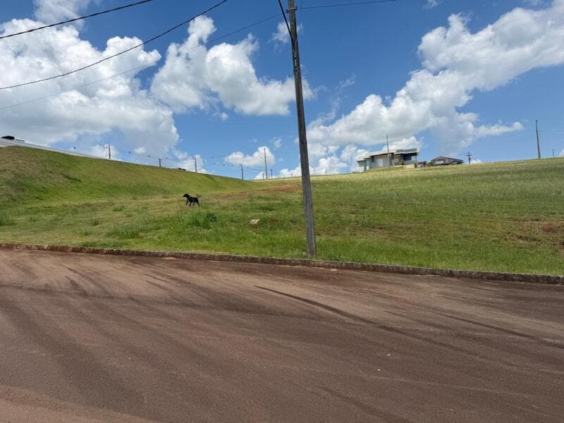 Foto 20 de 26: Terreno em leilão em Passo Fundo - RS — LOTE 001 Imóvel