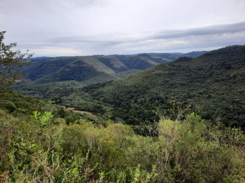 Foto 2 de 9: Terreno em leilão em Monte Alegre Dos Campos - RS — LOTE 006 Imóvel
