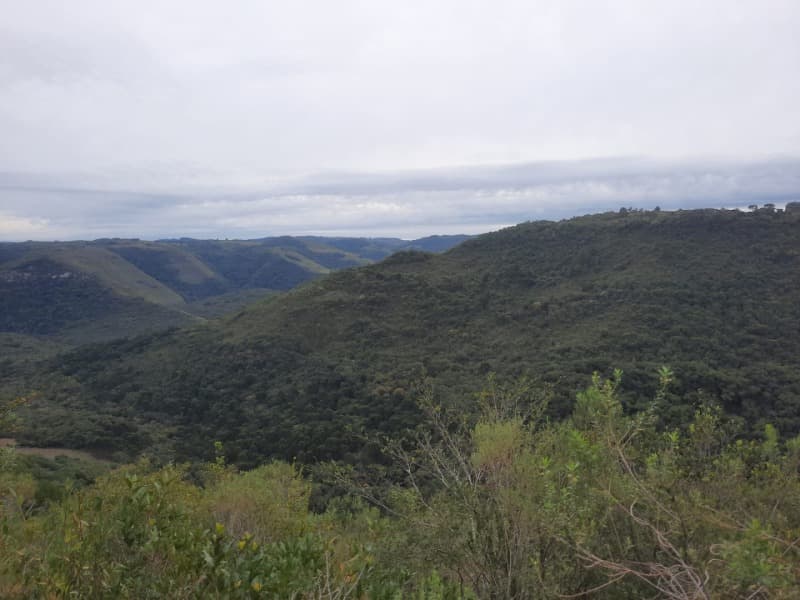 Foto 1 de 9: Terreno em leilão em Monte Alegre Dos Campos - RS — LOTE 006 Imóvel