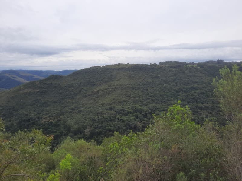 Foto 5 de 9: Terreno em leilão em Monte Alegre Dos Campos - RS — LOTE 006 Imóvel