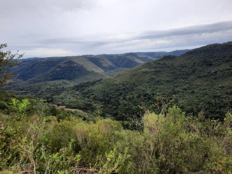 Foto 6 de 9: Terreno em leilão em Monte Alegre Dos Campos - RS — LOTE 006 Imóvel