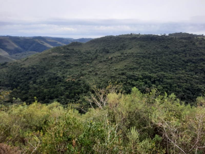 Foto 8 de 9: Terreno em leilão em Monte Alegre Dos Campos - RS — LOTE 006 Imóvel