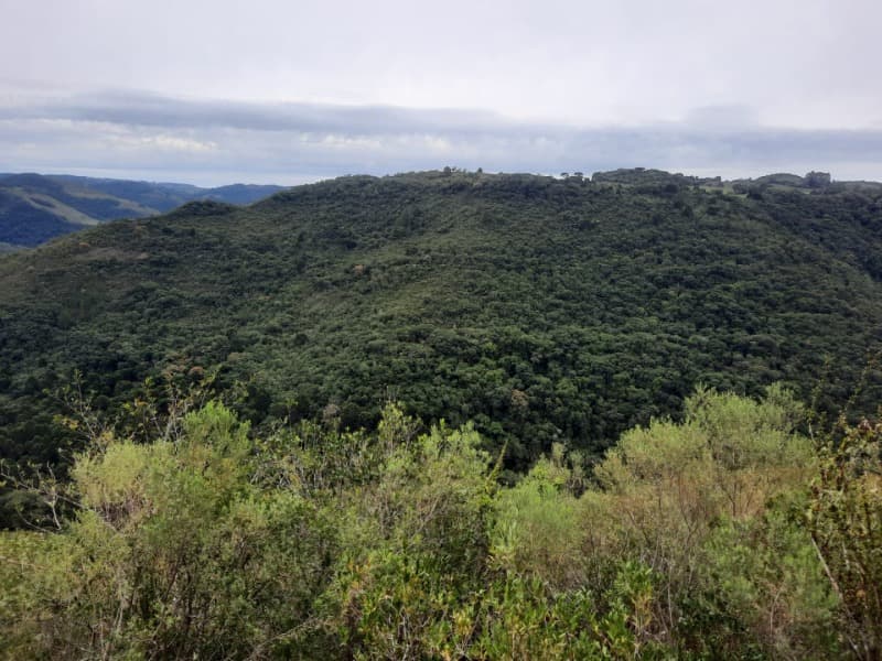 Foto 9 de 9: Terreno em leilão em Monte Alegre Dos Campos - RS — LOTE 006 Imóvel