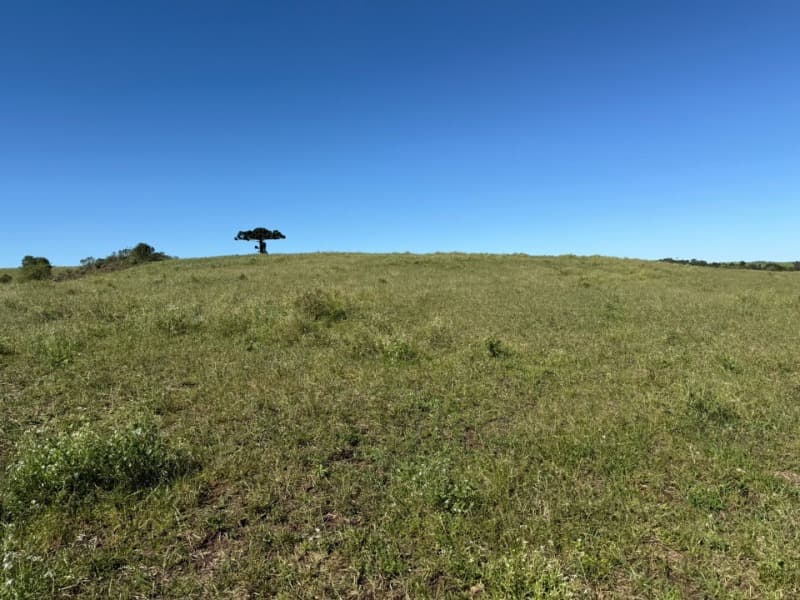 Foto 5 de 15: Terreno em leilão em Soledade - RS — LOTE 008 Imóvel
