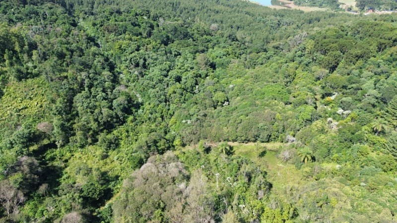 Foto 1 de 2: Terreno em leilão em Erechim - RS — LOTE 001 Imóvel