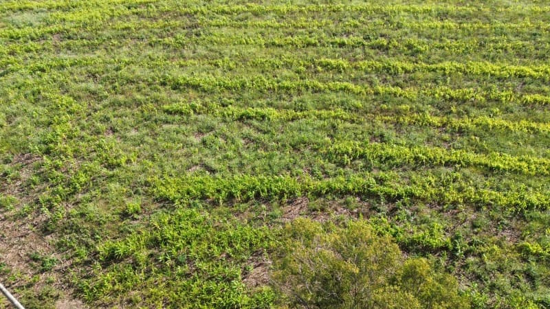Foto 4 de 7: Terreno em leilão em Barão De Cotegipe - RS — LOTE 002 imóvel