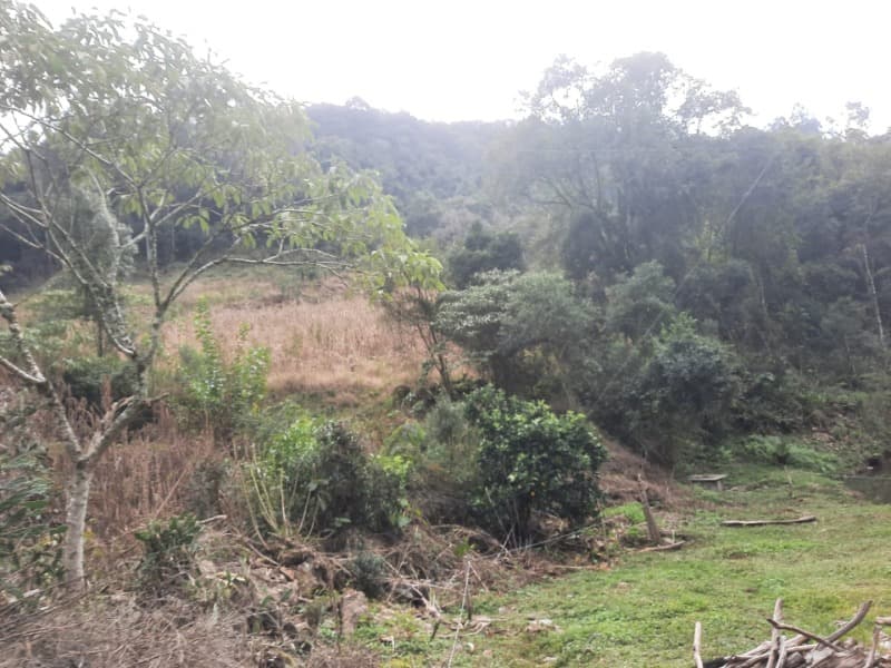 Foto 3 de 28: Terreno em leilão em Arvorezinha - RS — LOTE 001 imóvel