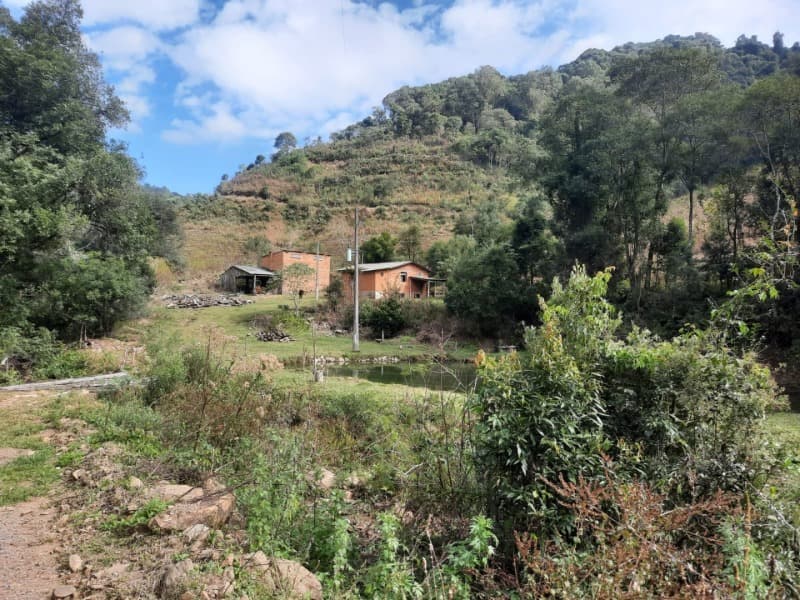 Foto 4 de 28: Terreno em leilão em Arvorezinha - RS — LOTE 001 imóvel