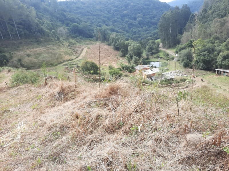 Foto 11 de 28: Terreno em leilão em Arvorezinha - RS — LOTE 001 imóvel
