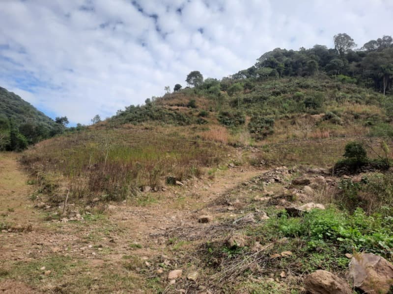 Foto 12 de 28: Terreno em leilão em Arvorezinha - RS — LOTE 001 imóvel