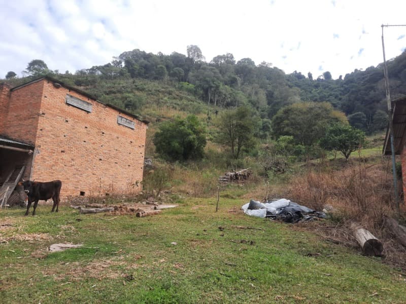 Foto 15 de 28: Terreno em leilão em Arvorezinha - RS — LOTE 001 imóvel