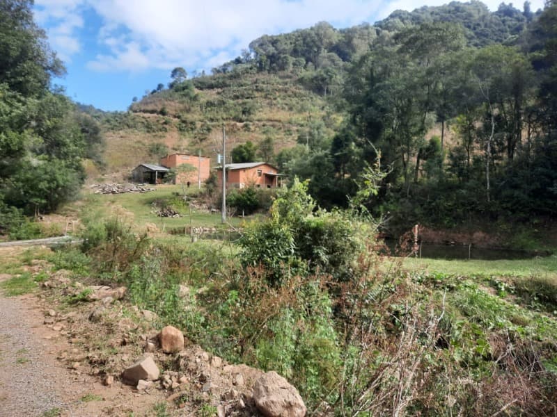 Foto 16 de 28: Terreno em leilão em Arvorezinha - RS — LOTE 001 imóvel