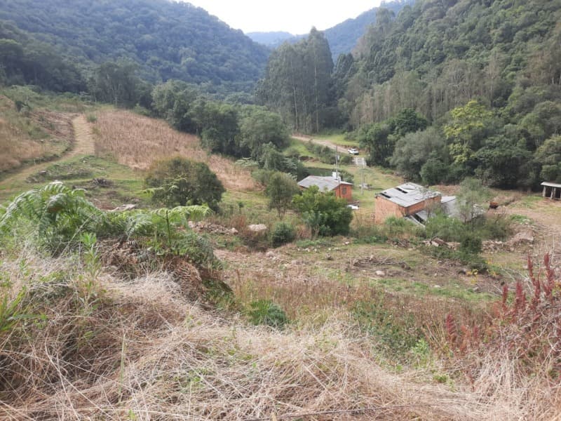 Foto 17 de 28: Terreno em leilão em Arvorezinha - RS — LOTE 001 imóvel
