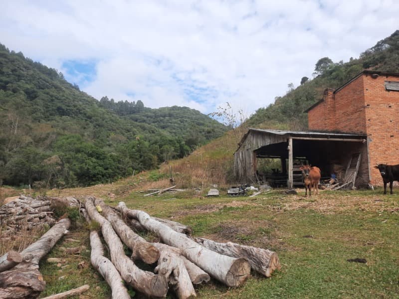 Foto 18 de 28: Terreno em leilão em Arvorezinha - RS — LOTE 001 imóvel