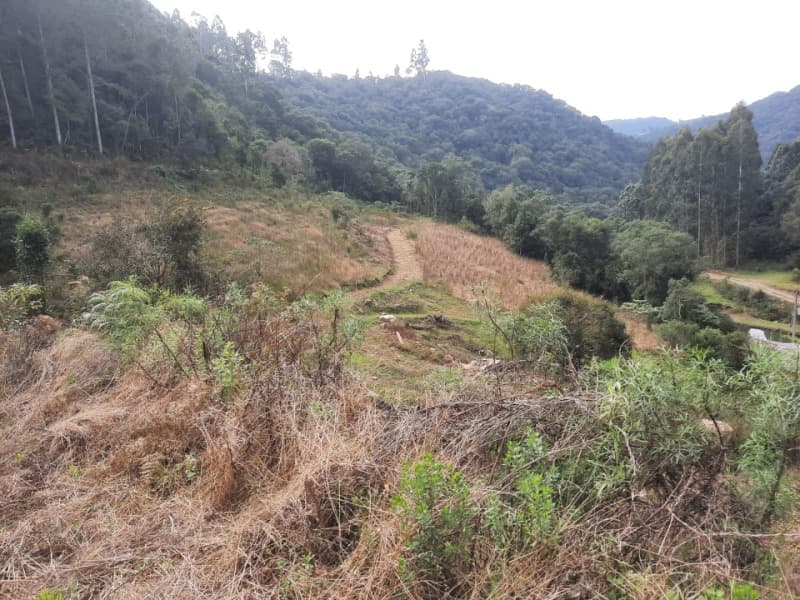 Foto 19 de 28: Terreno em leilão em Arvorezinha - RS — LOTE 001 imóvel