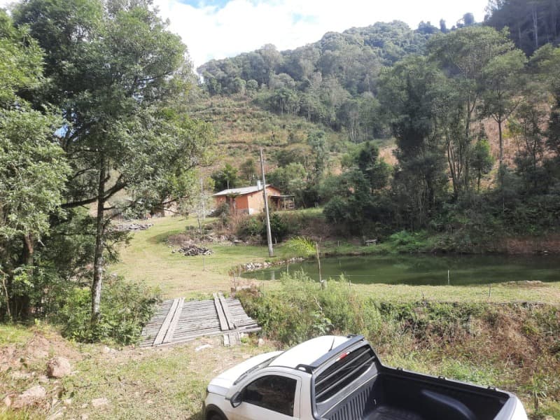 Foto 20 de 28: Terreno em leilão em Arvorezinha - RS — LOTE 001 imóvel