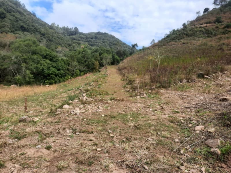 Foto 21 de 28: Terreno em leilão em Arvorezinha - RS — LOTE 001 imóvel