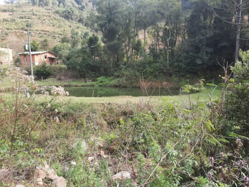 Foto 25 de 28: Terreno em leilão em Arvorezinha - RS — LOTE 001 imóvel