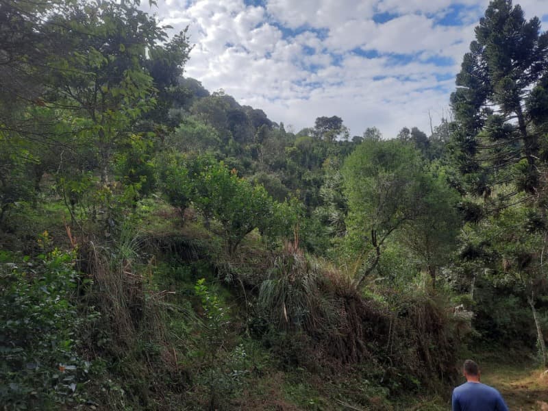 Foto 26 de 28: Terreno em leilão em Arvorezinha - RS — LOTE 001 imóvel