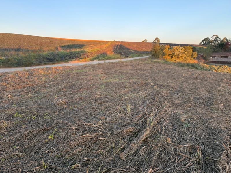 Foto 1 de 7: Terreno em leilão em Imbuia - SC — LOTE 001 Imóvel