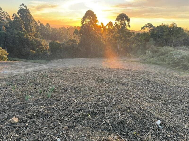 Foto 5 de 7: Terreno em leilão em Imbuia - SC — LOTE 001 Imóvel