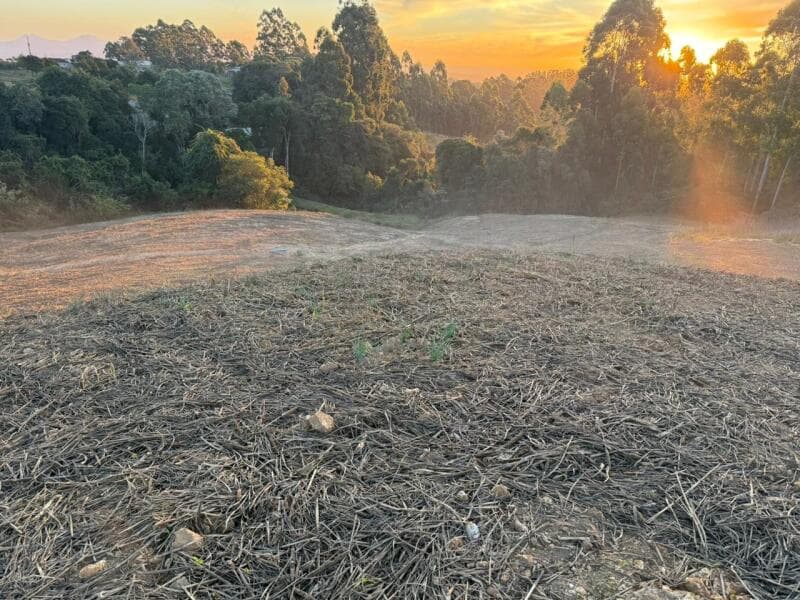 Foto 6 de 7: Terreno em leilão em Imbuia - SC — LOTE 001 Imóvel