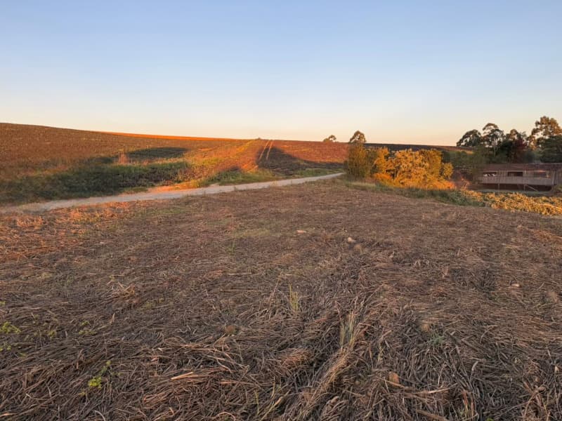 Foto 7 de 7: Terreno em leilão em Imbuia - SC — LOTE 001 Imóvel