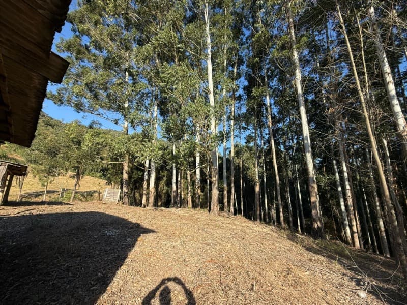 Foto 2 de 39: Terreno em leilão em Vidal Ramos - SC — LOTE 001 Imóvel