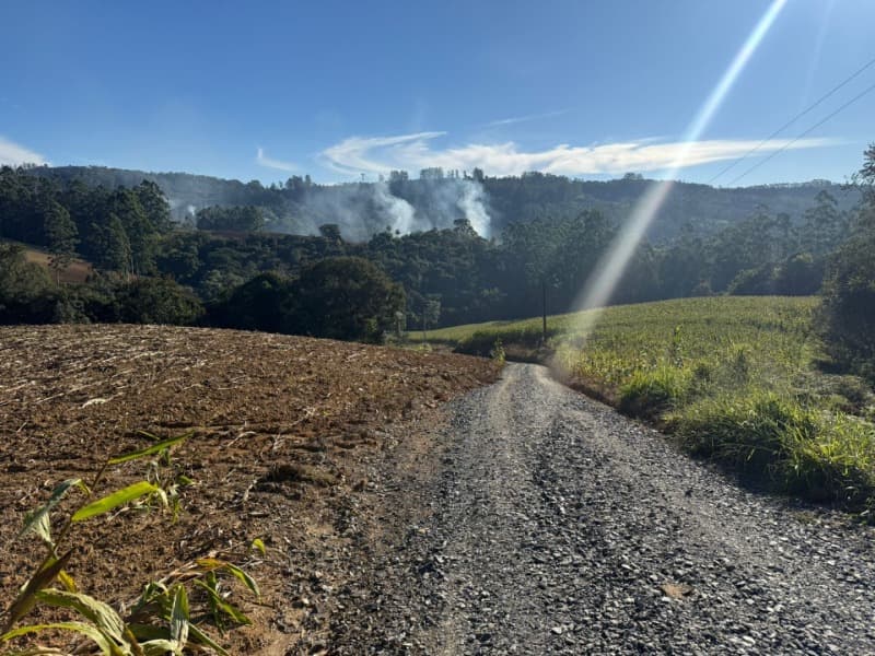 Foto 6 de 39: Terreno em leilão em Vidal Ramos - SC — LOTE 001 Imóvel