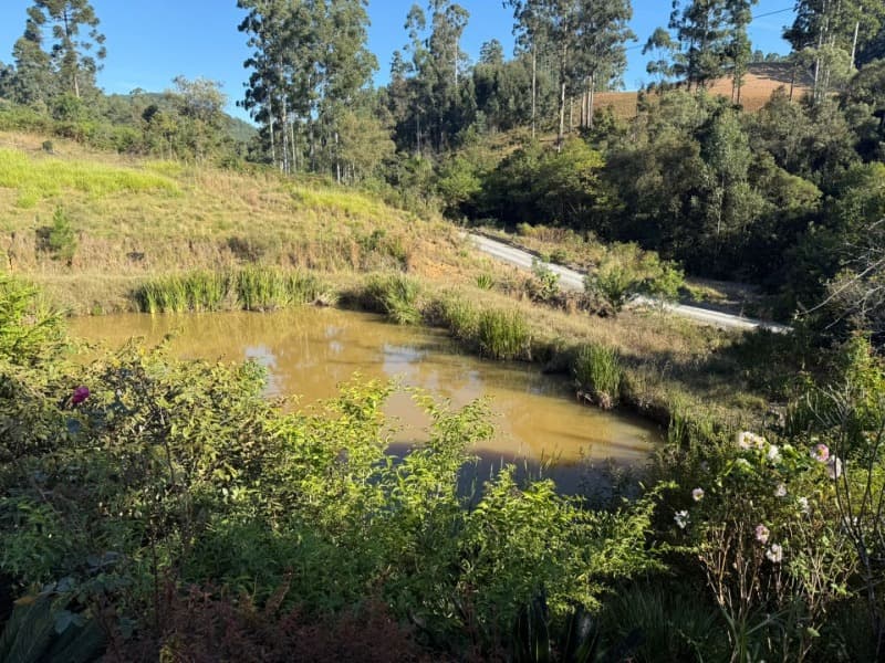 Foto 7 de 39: Terreno em leilão em Vidal Ramos - SC — LOTE 001 Imóvel