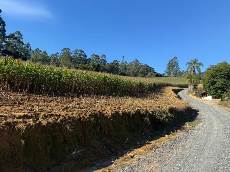 Foto 11 de 39: Terreno em leilão em Vidal Ramos - SC — LOTE 001 Imóvel