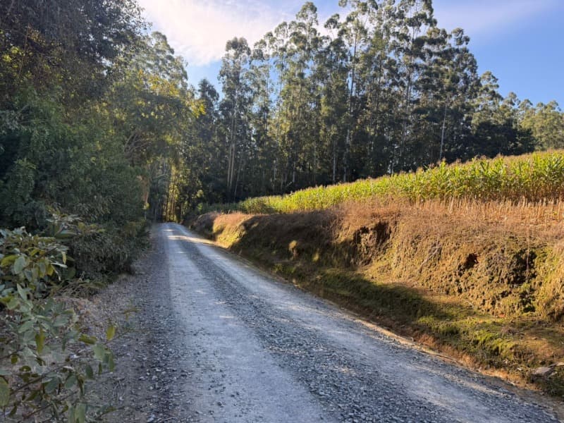 Foto 13 de 39: Terreno em leilão em Vidal Ramos - SC — LOTE 001 Imóvel