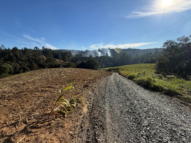 Foto 20 de 39: Terreno em leilão em Vidal Ramos - SC — LOTE 001 Imóvel
