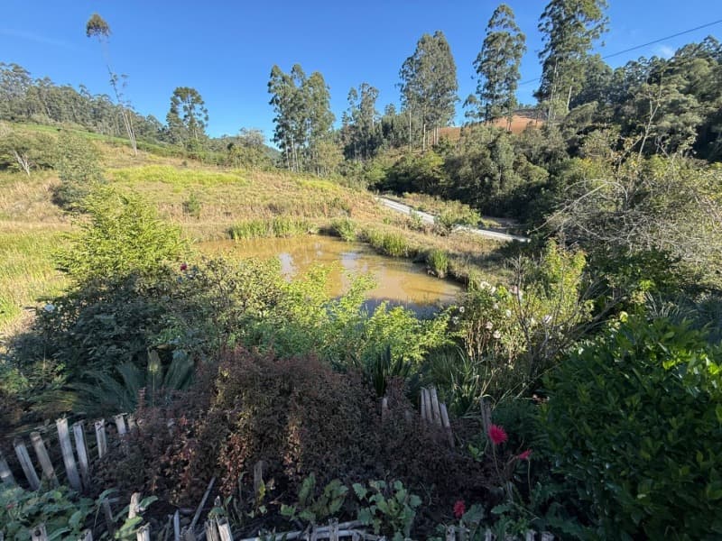 Foto 17 de 39: Terreno em leilão em Vidal Ramos - SC — LOTE 001 Imóvel
