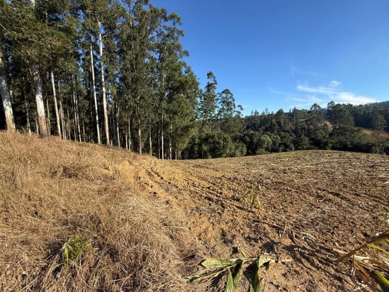 Foto 1 de 39: Terreno em leilão em Vidal Ramos - SC — LOTE 001 Imóvel