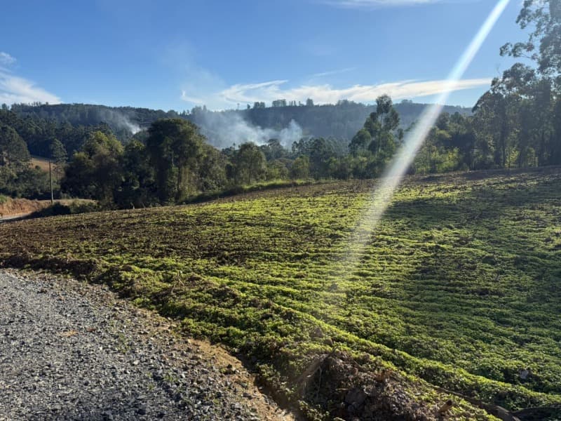 Foto 25 de 39: Terreno em leilão em Vidal Ramos - SC — LOTE 001 Imóvel